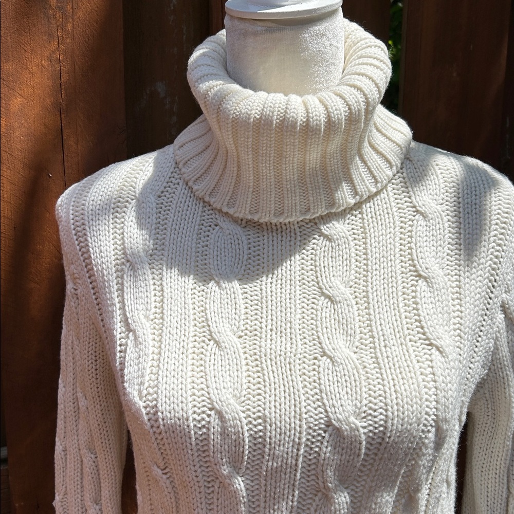 Turtleneck Wool Sweater